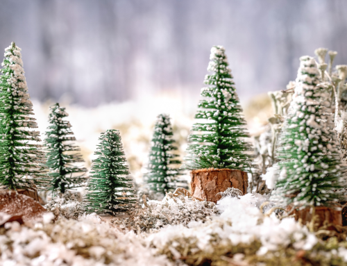 Veränderung ist wie Weihnachten