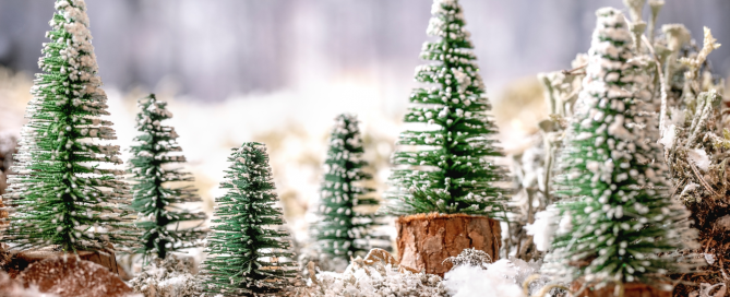Kleiner Baum im Wald, der bereit für Veränderung ist.